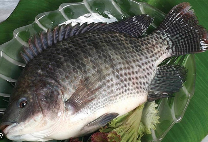 sự kiẹn